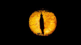 Trophy List Banner
