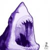 Sharkies