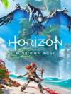 Horizon: Zero Dawn 2 Box Art