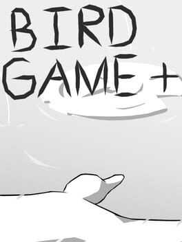 Bird Game + Box Art