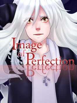Image of Perfection Box Art