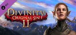 Divinity: Original Sin 2 - Divine Ascension Box Art