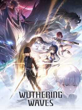Wuthering Waves Box Art