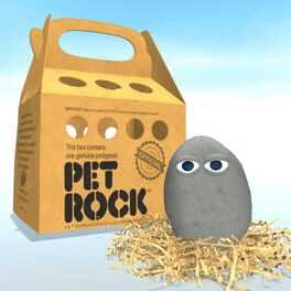 Pet Rock Box Art