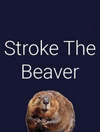 Stroke The Beaver cover art