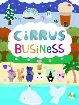 Cirrus Business Box Art