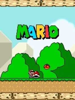 Mario Box Art