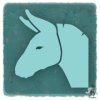 Large donkey