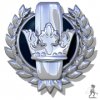 The King of Iron Wake Tournament
