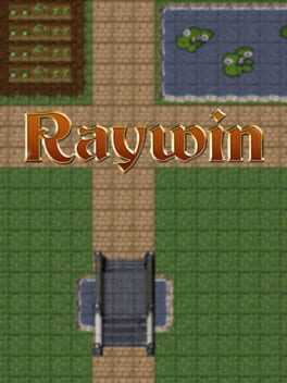 Raywin Box Art