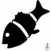 Sashimi