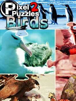 Pixel Puzzles 2: Birds Box Art