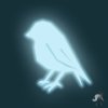 Condor condo