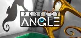 PERFECT ANGLE: The puzzle game based on optical illusions Box Art