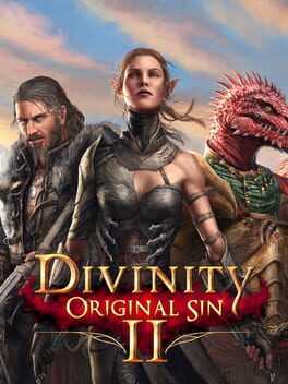 Divinity: Original Sin II Box Art