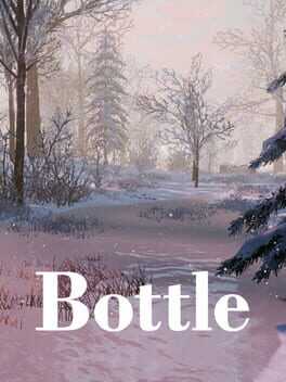 Bottle Box Art