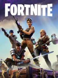 What does Fortnite BR mean