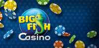 Big Fish Casino achievement list icon
