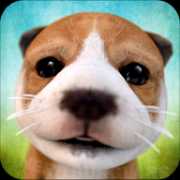 dog-lover achievement icon