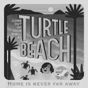 turtle-beach achievement icon