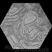 loads-of-bacteria achievement icon