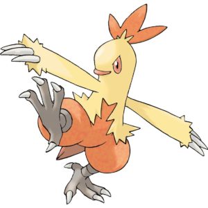 Combusken pokemon image