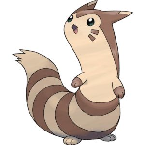 Furret pokemon image