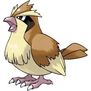 Pidgey pokemon image