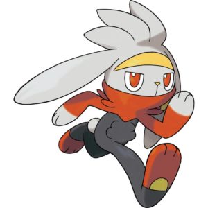 Raboot pokemon image