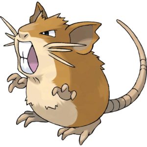 Raticate pokemon image